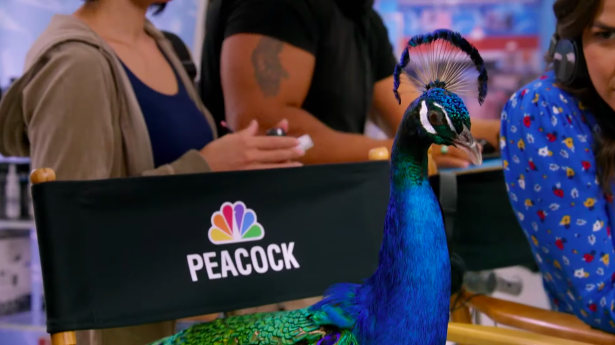 Phim của Universal & Dreamworks bay đến Peacock sau khi ra rạp