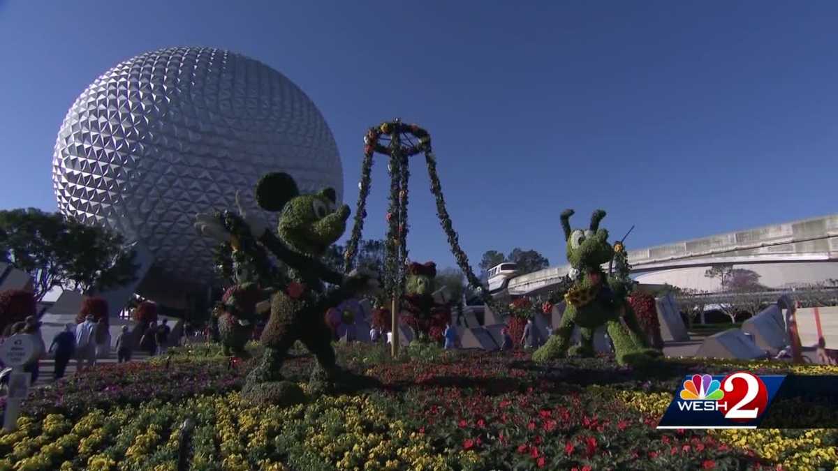 Nhân viên Disney dự định nghỉ việc