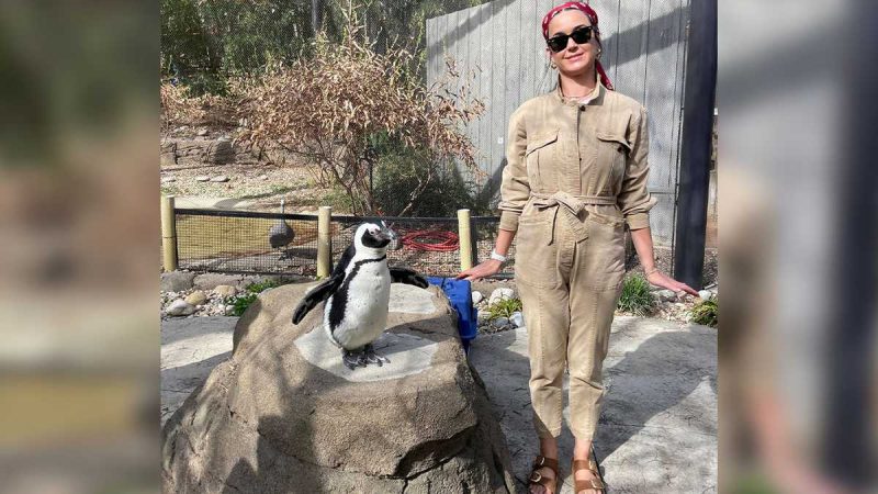 Cư dân Kentucky mới Katy Perry đi chơi ở Sở thú Louisville

