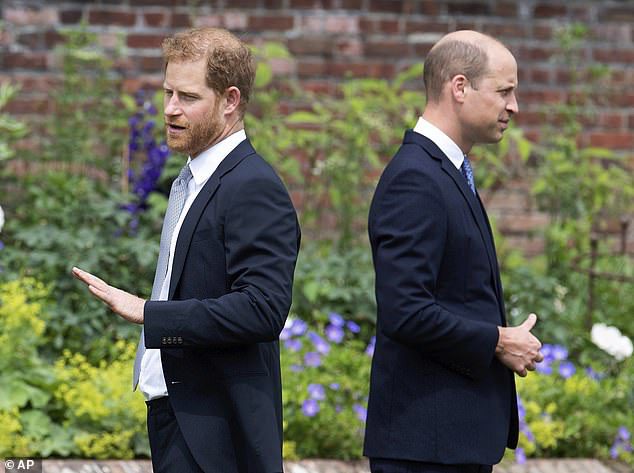 Rạn nứt: Harry và William trong lễ ra mắt bức tượng của mẹ họ, Công nương Diana, tại Cung điện Kensington năm ngoái